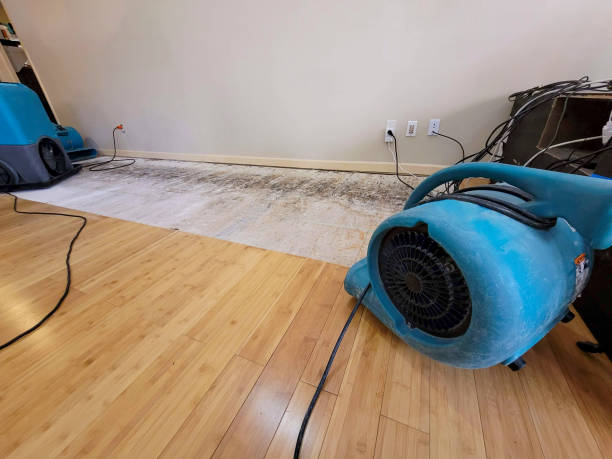 Reliable Basement Flood Cleanup contractor in Midlothian, IL by Hirex Water Damage
