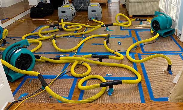 Professional Basement Flood Cleanup technician working in Midlothian, IL